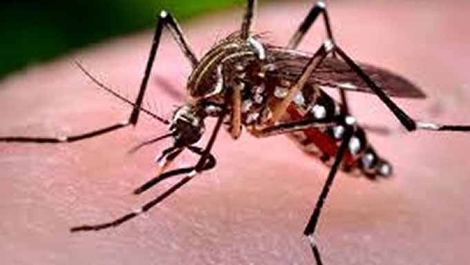   Dados divulgados pelo Ministério da Saúde apontam que o número de casos notificados de dengue no Rio Grande do Norte continuou praticamente o mesmo no período de janeiro ao dia 2 de fevereiro, na comparação com o mesmo período do ano passado