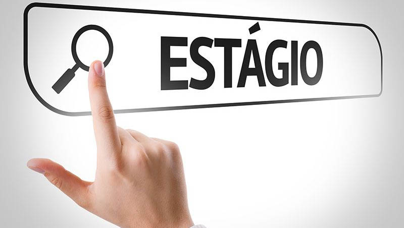   Serão preenchidas 12 vagas com contrato inicial até o final de 2019, podendo ser prorrogado por mais dois anos.
