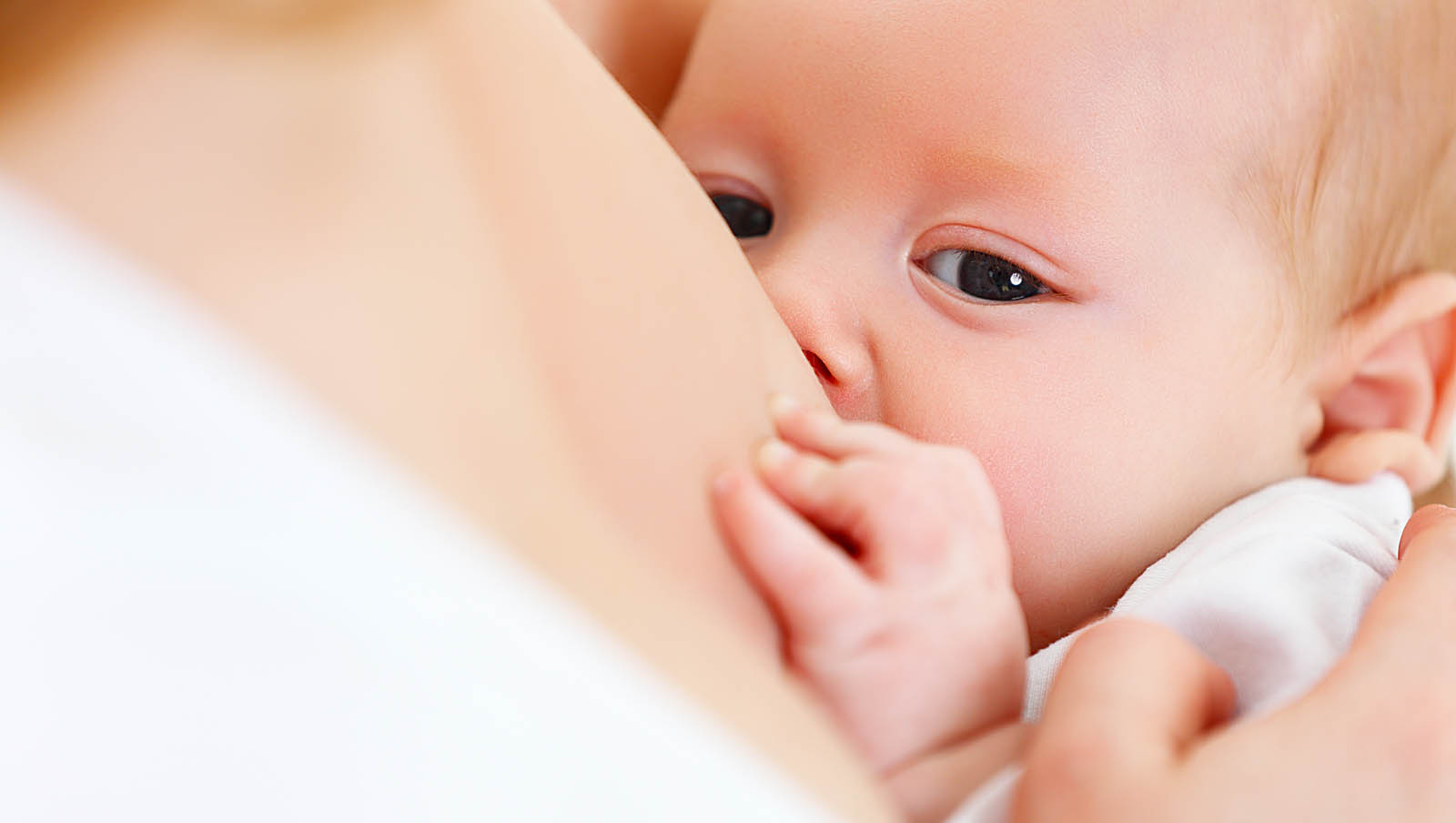   Especialista esclarece os mitos e verdades sobre a amamentação. ‘‘Agora, tanto a mãe quanto o filho vão ter que criar e se encaixar em uma rotina de amamentação", explica a Pediatra.