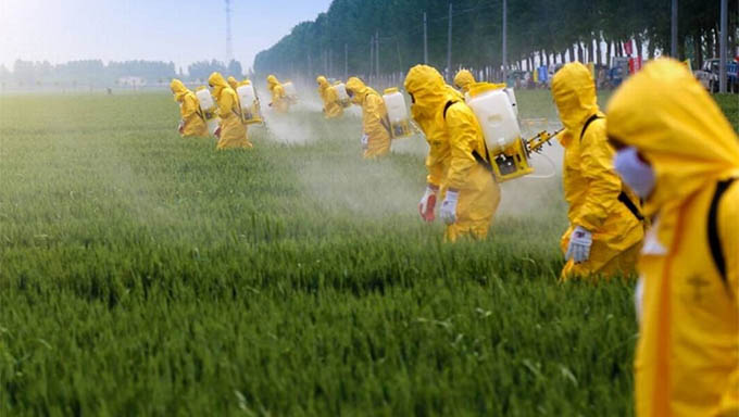   Governo autoriza o uso de mais 57 agrotóxicos, totalizando 439 em 2019.