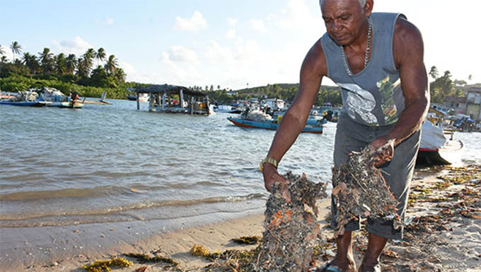   Caixa começa a pagar auxílio a pescadores prejudicados por óleo nas praias do Nordeste. No RN terão direito ao auxílio emergencial 4.237 pescadores ativos no Registro Geral de Atividade Pesqueira do Ministério da Agricultura. O benefício é no valor de R$ 1.996, a ser pago em duas parcelas de R$ 998 cada.