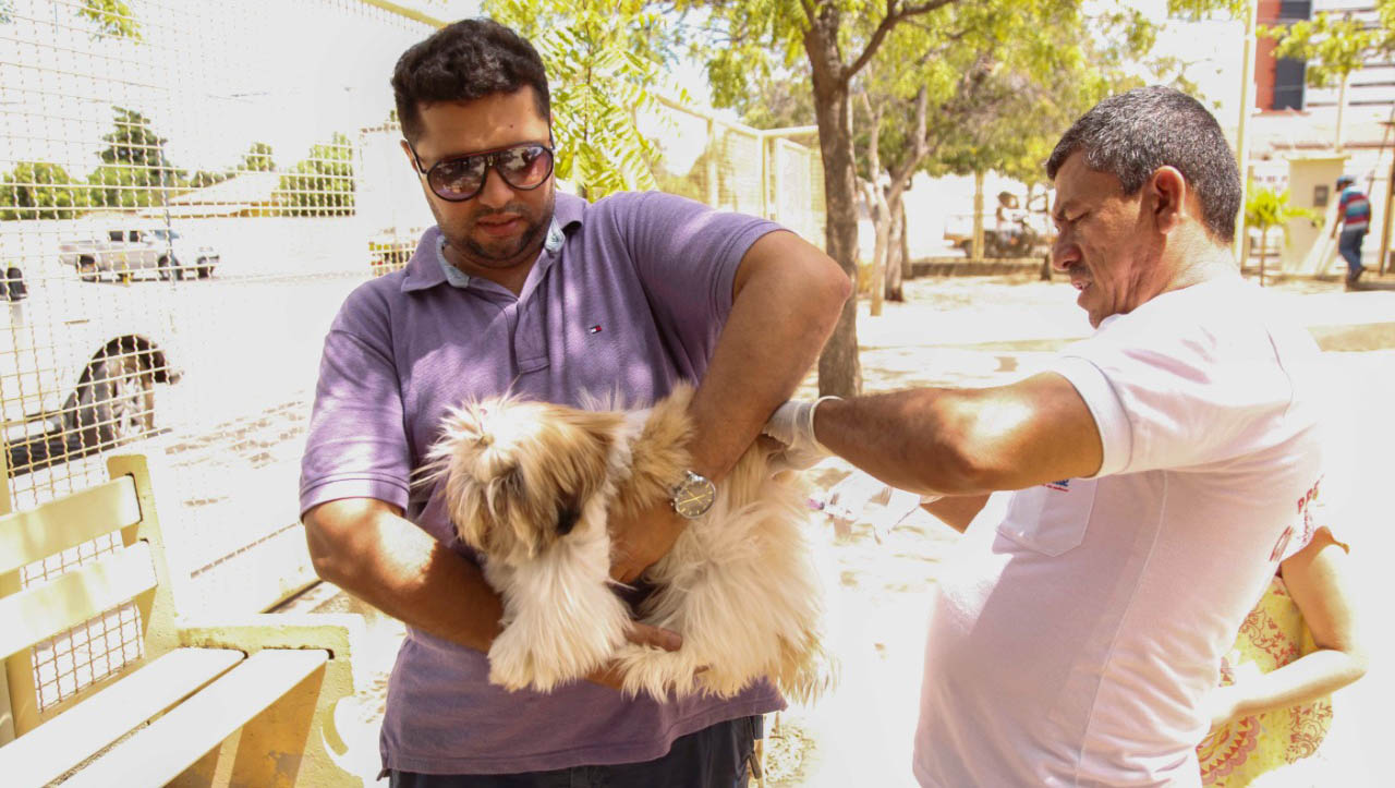   VACINAÇÃO ANTIRRÁBICA: Equipes da Unidade de Vigilância em Zoonozes (UVZ) estarão em diferentes pontos da cidade com postos volantes para a vacinação de animais domésticos, das 14h às 16h30; De acordo a médica veterinária da UVZ, Emile Borges, esses pontos de vacinação volante tem como objetivo facilitar o acesso à vacina e assim garantir uma maior cobertura vacinal dos animais da cidade. 