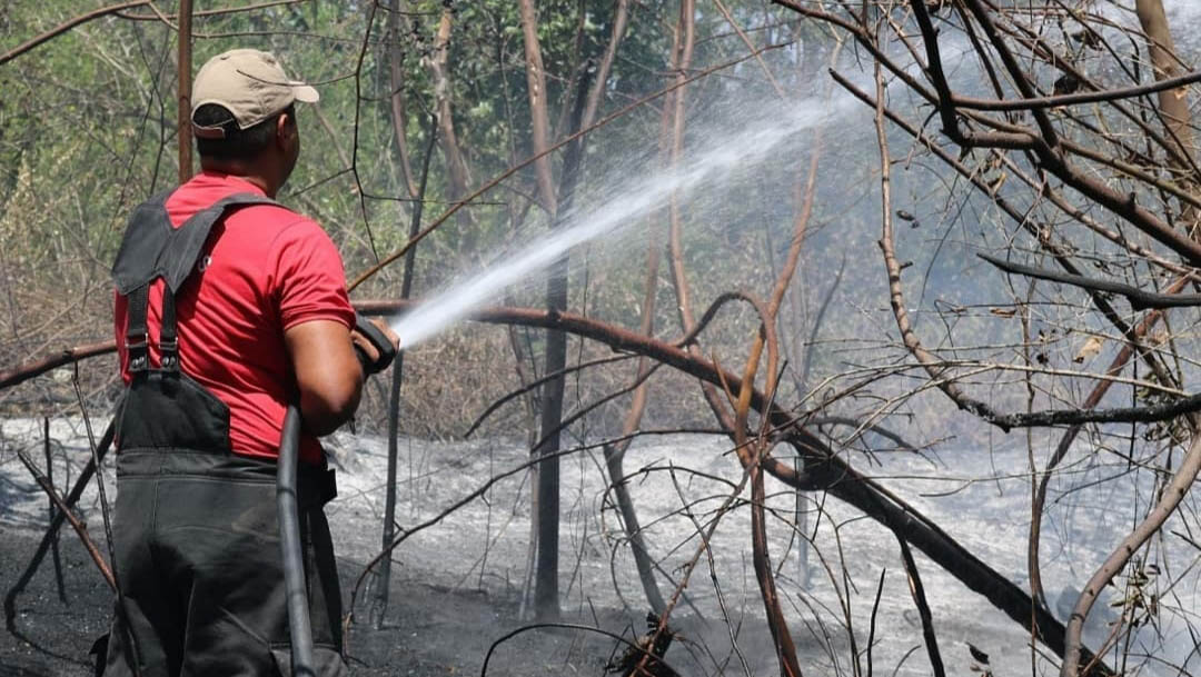   Bombeiros registram 54 incêndios florestais na região Oeste do RN em agosto. Em todo o estado, foi registrado um total de 245 ocorrências do tipo em apenas um mês; O número é considerado alto, representando uma média de oito ocorrências por dia, mas inferior aos 265 registros relativos ao mês de agosto de 2019.