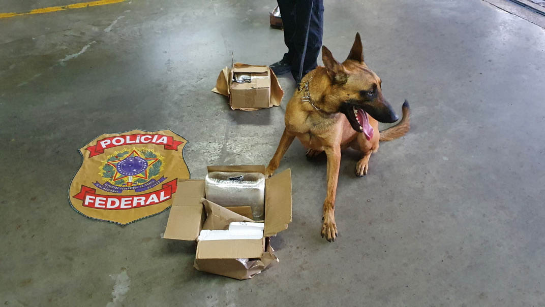   Cocaína enviada pelos Correios é apreendida pela PF em Natal. A droga, cerca de 5,25kg, foi remetida de Rio Branco, no Acre. Em uma fiscalização de rotina, um cão farejador da Polícia Federal apontou uma caixa suspeita, que foi separada das demais. Ao ser procedida a sua abertura, a cocaína foi encontrada sob forma de tabletes e envolta em material plástico; Somente em 2020, a PF já apreendeu aproximadamente 1,1 toneladas de drogas no RN.