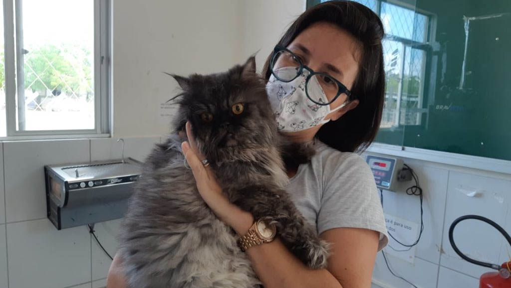 Imagem 1 -  Hospital veterinário da Ufersa volta a funcionar após 10 meses sem atividades. O retorno, mesmo sendo de forma gradual, beneficia estudantes residentes que precisam da prática médica, bem como a população que não tem como pagar pelo serviço clínico e cirúrgico que é oferecido pela rede particular.