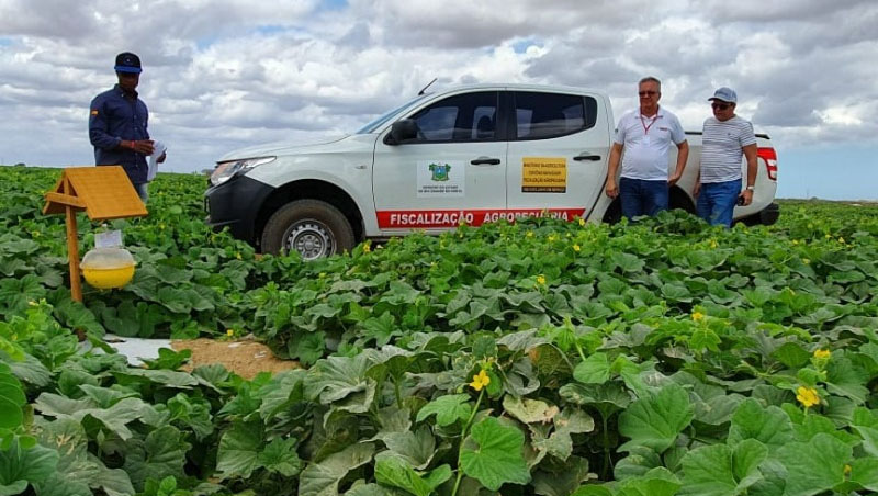   RN tem mais 8 municípios na Área Livre da Praga Mosca-das-fruta; medida pode aumentar exportações. Nesta terça-feira (27) foram incluídos no projeto os municípios de Apodi, Governador Dix-Sept Rosado, Felipe Guerra, Caraúbas, Macau, Pendências, Jandaíra e Pedro Avelino, praticamente dobrando a área apta à exportação do estado. A ALP já contava com os municípios de Mossoró, Tibau, Grossos, Areia Branca, Serra do Mel, Baraúna, Assu, Afonso Bezerra, Alto do Rodrigues, Ipanguaçu, Porto do Mangue e Upanema.