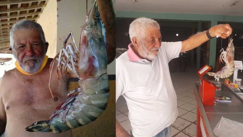   “Dizem que pescador mente muito, mas essa história é verdadeira”. A fala é de Gabriel Manoel da Silva, de 80 anos, que pescou um camarão gigante e movimentou a cidade de Tibau, na região da Costa Branca do RN. Pesando cerca de 400g e medindo 50cm, o camarão gigante da Malásia, como é denominado, caiu nas redes do pescador por volta do meio-dia desta quinta-feira (24). A foto de Gabriel com o crustáceo rodou os grupos de whatsapp nesta sexta (25) e deixou o pescador famoso. Ele contou ao MOSSORÓ HOJE que já havia pescado um camarão muito grande em 1978, mas desta vez, bateu o próprio recorde.
