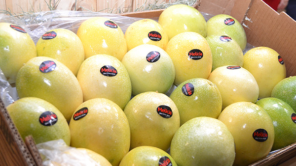   Expofruit 2021 acontece de 24 a 26 de novembro na Estação das Artes, em Mossoró. O evento é destinado a fornecedores e produtores do Brasil e de vários países ao redor do mundo. A programação contará com palestras, rodadas de negócios nacionais e internacionais, cursos e minicursos tratando sobre as mais diversas áreas da fruticultura. O evento vai seguir todos os protocolos de segurança da Organização Mundial de Saúde (OMS) e as orientações dos decretos estadual e municipal vigentes.