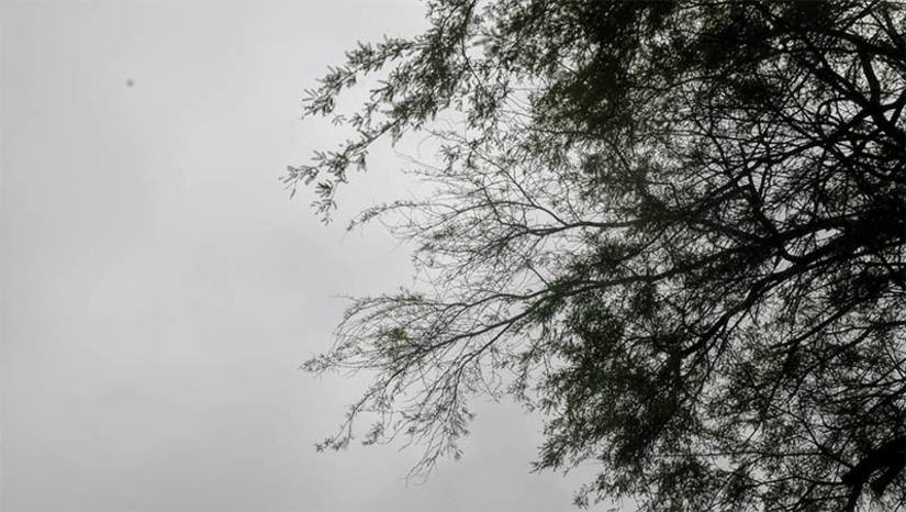 Imagem 1 - Imagem 1 -
