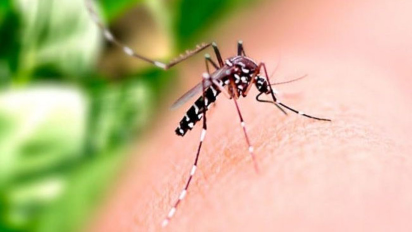 Imagem 1 -  Sesap registra aumento de notificações de casos de dengue nas primeiras semanas de 2022 no RN. O dado leva em consideração a comparação com o mesmo período de 2021. Na primeira semana epidemiológica de 2021 foram notificados 28 casos prováveis de dengue, na primeira semana de 2022 foram 137, e na segunda, 144 casos, mostrando um aumento considerável em relação ao ano passado. Esse aumento contínuo já estava ocorrendo no final do ano e a incidência das arboviroses é maior no período da sazonalidade dessas doenças.