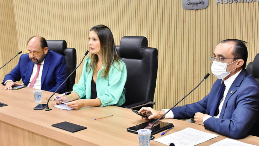 Imagem 1 -  