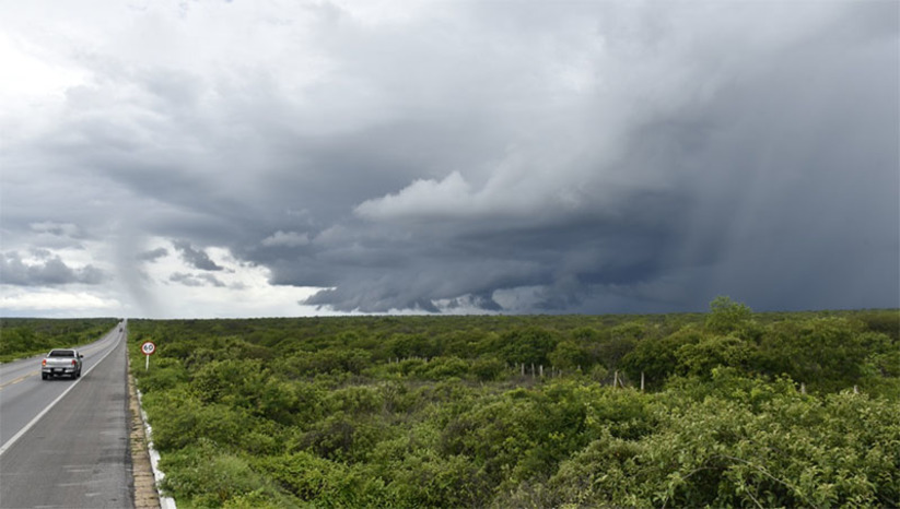 Imagem 1 -  