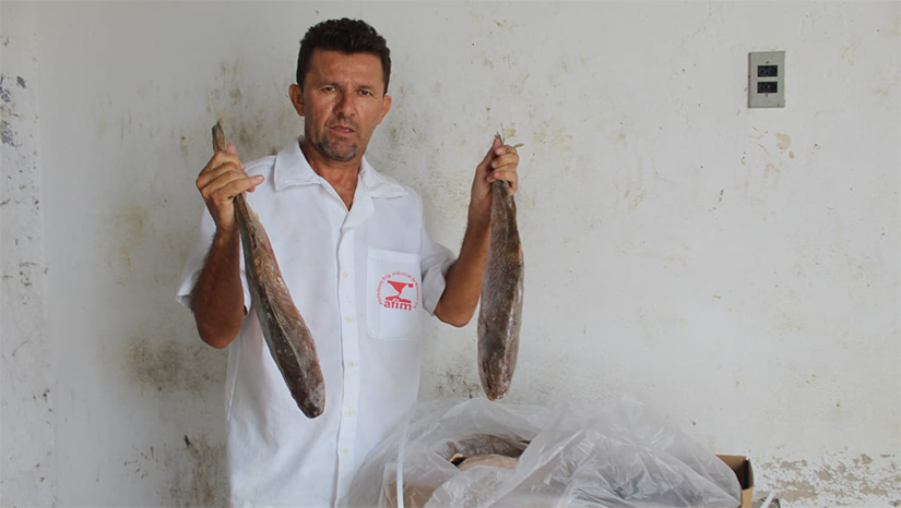 Imagem 1 - O projeto “Peixe Popular” é uma ação que possibilita a famílias de baixa renda ter na mesa esse alimento na tradicional Semana Santa. As vendas vão acontecer a partir da quarta-feira (13). No total, serão 14 toneladas de peixes que estarão disponíveis a um preço acessível. Os peixes serão vendidos em sete pontos da cidade: parada de ônibus do bairro Nova Vida na BR-304; proximidades da delegacia do Alto de São Manoel; Cobal; UEI Tereza Néo no bairro Santo Antônio; praça do bairro Santa Delmira (ao lado do Supermercado Queiroz); Centro Comercial do bairro Abolição II; e Praça da Pirâmide no bairro Belo Horizonte. Imagem 1 - O projeto “Peixe Popular” é uma ação que possibilita a famílias de baixa renda ter na mesa esse alimento na tradicional Semana Santa. As vendas vão acontecer a partir da quarta-feira (13). No total, serão 14 toneladas de peixes que estarão disponíveis a um preço acessível. Os peixes serão vendidos em sete pontos da cidade: parada de ônibus do bairro Nova Vida na BR-304; proximidades da delegacia do Alto de São Manoel; Cobal; UEI Tereza Néo no bairro Santo Antônio; praça do bairro Santa Delmira (ao lado do Supermercado Queiroz); Centro Comercial do bairro Abolição II; e Praça da Pirâmide no bairro Belo Horizonte.