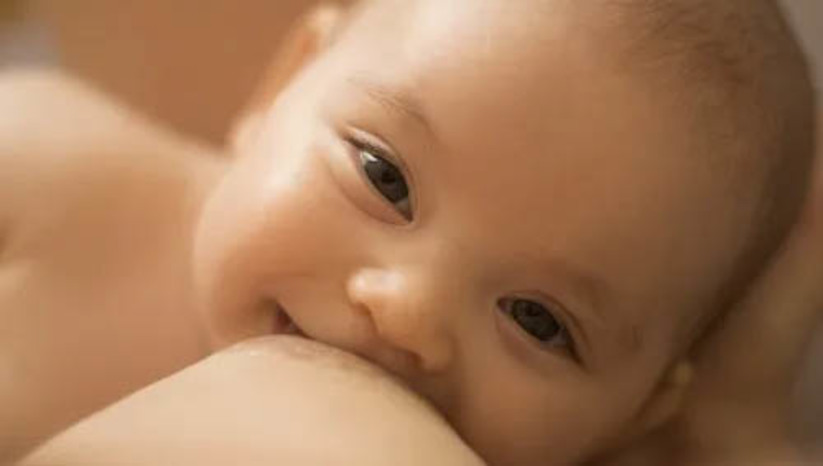 Imagem 1 -  