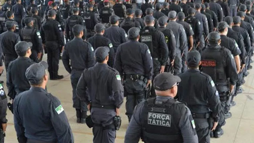 Imagem 1 - Imagem 1 -