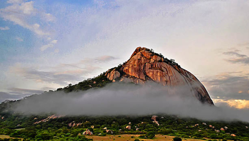 Imagem 1 - Serra da Barriguda, em Alexandria, é reconhecida como patrimônio imaterial do RN. A iniciativa da deputada Cristiane Dantas (SDD) foi aprovada na manhã desta terça-feira (7), ao lado de outras seis, durante votação na Assembleia Legislativa do Rio Grande do Norte. “A Serra da Barriguda é uma das sete belezas do Rio Grande do Norte, apontada em concurso realizado pelo jornal Diário de Natal em 2007. A região merece esse título não só pelo valor paisagístico, mas por representar tanto para todos neste estado”, destacou a autora. Imagem 1 - Serra da Barriguda, em Alexandria, é reconhecida como patrimônio imaterial do RN. A iniciativa da deputada Cristiane Dantas (SDD) foi aprovada na manhã desta terça-feira (7), ao lado de outras seis, durante votação na Assembleia Legislativa do Rio Grande do Norte. “A Serra da Barriguda é uma das sete belezas do Rio Grande do Norte, apontada em concurso realizado pelo jornal Diário de Natal em 2007. A região merece esse título não só pelo valor paisagístico, mas por representar tanto para todos neste estado”, destacou a autora.