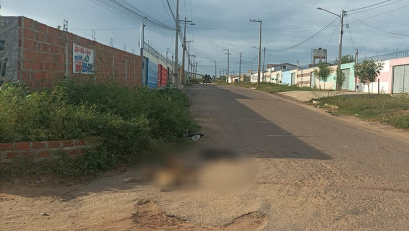 Imagem 1 - Imagem 1 -