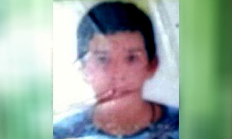 Imagem 1 - Imagem 1 -