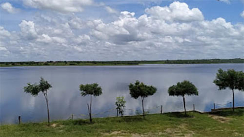 Imagem 1 -  