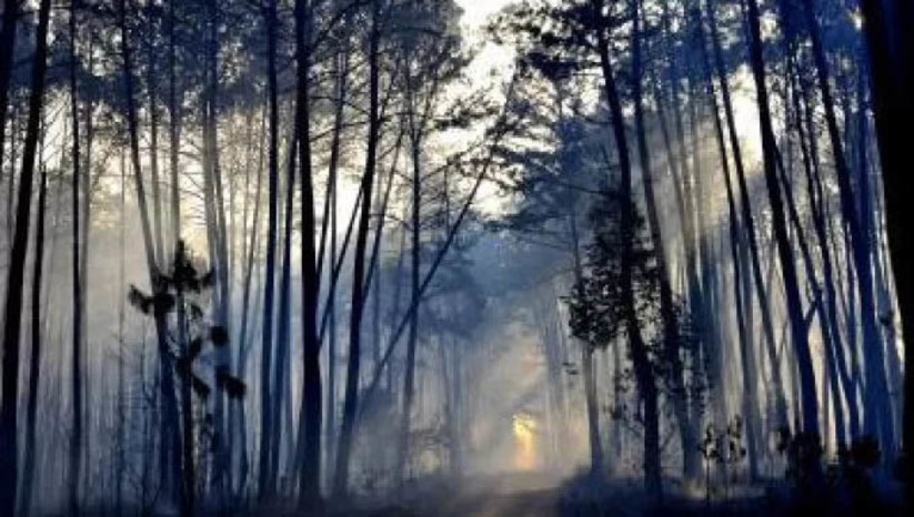   [COLUNA ESPLANADA] Numa canetada com vistas a votos, o presidente Jair Bolsonaro (PL), que tenta a reeleição, regularizou duas invasões ilegais dentro da Floresta Nacional de Brasília, criada há décadas para preservação da natureza no cerrado no entorno da capital. Hoje moram cerca de 40 mil pessoas nos “assentamentos” 26 de Setembro e Maranata. A área tem serviços do Governo do DF mas é de responsabilidade do Instituto Chico Mendes de Conservação da Biodiversidade (ICMBio). Questionado pela Coluna, o órgão não se pronunciou. A Flona passa a ter agora pouco mais de 5 mil hectares, ante os 9 mil hectares de antes do decreto de Bolsonaro que legalizou a invasão – e isso é preocupante, porque estimula novas invasões do restante da reserva, com vistas a outras canetadas futuras. O ICMBio não informou também se haverá, e onde, a compensação pela perda por esta parte do bioma para a especulação imobiliária e grileiros.