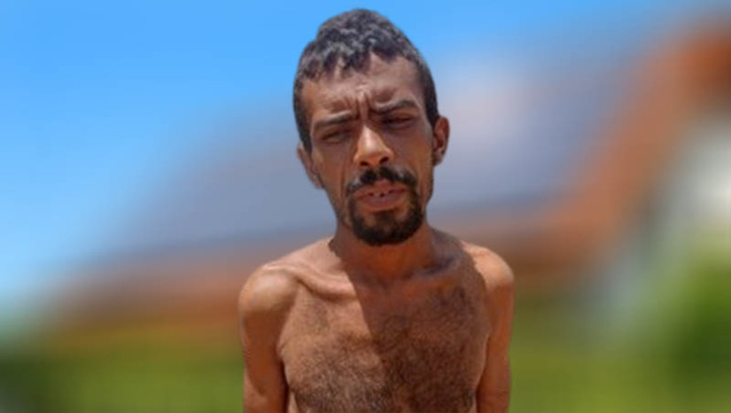 Imagem 1 - Imagem 1 -