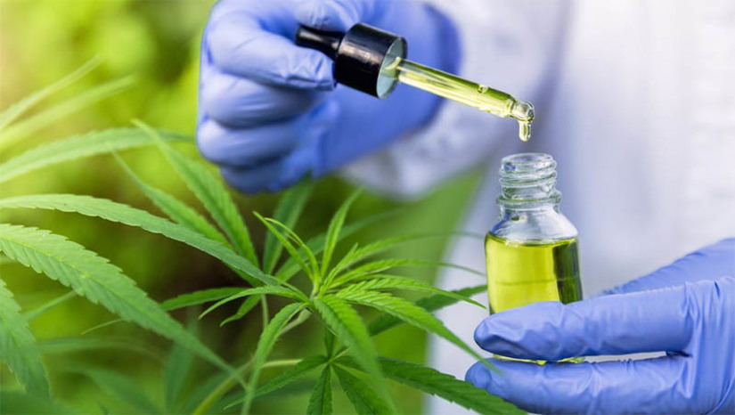 Imagem 1 - Anvisa autoriza a fabricação e venda de novo medicamento à base de Cannabis. O Canabidiol Ease Labs 100 Mg/Ml será fabricado pela Ease Labs Laboratório Farmacêutico LTDA. em território nacional, sob a forma de solução de uso oral. A comercialização do produto será feita em farmácias e drogarias a partir da prescrição médica por meio de receita especial do tipo B (de cor azul). Imagem 1 - Anvisa autoriza a fabricação e venda de novo medicamento à base de Cannabis. O Canabidiol Ease Labs 100 Mg/Ml será fabricado pela Ease Labs Laboratório Farmacêutico LTDA. em território nacional, sob a forma de solução de uso oral. A comercialização do produto será feita em farmácias e drogarias a partir da prescrição médica por meio de receita especial do tipo B (de cor azul).