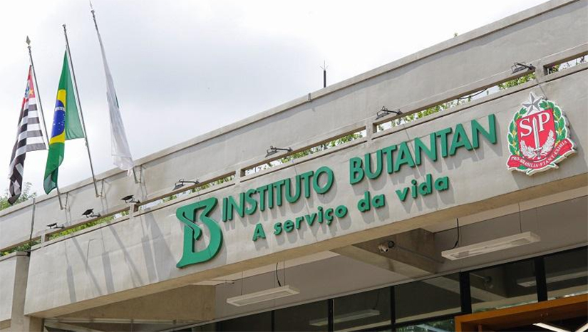 Imagem 1 - Imagem 1 -