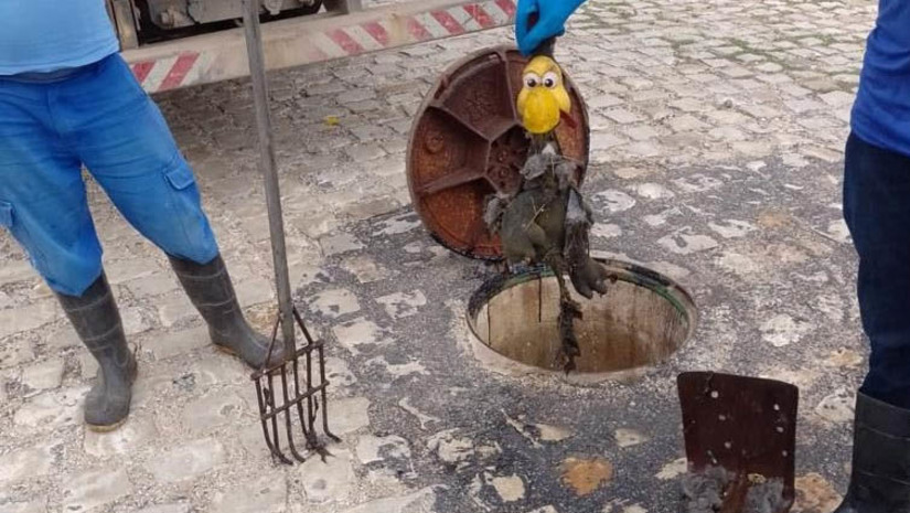 Imagem 1 - Caern reforça uso correto da rede de esgotos para evitar transbordamentos, principalmente no período chuvoso.Evitar ligações clandestinas de água de chuva para a rede de esgoto, não jogar lixo na rua e adotar práticas sustentáveis em casa, são fundamentais para garantir o desempenho correto do sistema. “Redes de esgoto e redes de drenagem são sistemas diferentes, normalmente confundidos pela população. Conhecer o papel de cada um é necessário para garantir o melhor desempenho da infraestrutura da cidade”, explica a Caern. Imagem 1 - Caern reforça uso correto da rede de esgotos para evitar transbordamentos, principalmente no período chuvoso.Evitar ligações clandestinas de água de chuva para a rede de esgoto, não jogar lixo na rua e adotar práticas sustentáveis em casa, são fundamentais para garantir o desempenho correto do sistema. “Redes de esgoto e redes de drenagem são sistemas diferentes, normalmente confundidos pela população. Conhecer o papel de cada um é necessário para garantir o melhor desempenho da infraestrutura da cidade”, explica a Caern.