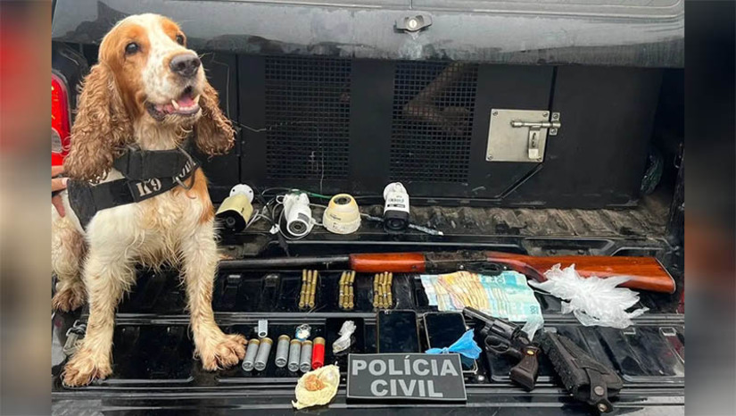 Imagem 1 - Dupla é presa em operação contra tráfico de drogas em Governador Dix-Sept Rosado. Wilson Martins Borges e Matheus Victor, foram presos em flagrante, nesta sexta-feira (31), e autuados por posse irregular de arma de fogo, tráfico de drogas, e associação para o tráfico. Mandado de busca e apreensão foram cumpridos na residência do primeiro, onde foram apreendidas uma escopeta de calibre .12, seis munições de mesmo calibre, um revólver de calibre .38, 30 munições de igual calibre, uma pedra de “crack” com cerca de onze gramas, três porções de maconha, embalagens plásticas, balanças de precisão e dinheiro fracionado. O trabalho contou com as participações de policiais civis da região e também do cão farejador Toby. Imagem 1 - Dupla é presa em operação contra tráfico de drogas em Governador Dix-Sept Rosado. Wilson Martins Borges e Matheus Victor, foram presos em flagrante, nesta sexta-feira (31), e autuados por posse irregular de arma de fogo, tráfico de drogas, e associação para o tráfico. Mandado de busca e apreensão foram cumpridos na residência do primeiro, onde foram apreendidas uma escopeta de calibre .12, seis munições de mesmo calibre, um revólver de calibre .38, 30 munições de igual calibre, uma pedra de “crack” com cerca de onze gramas, três porções de maconha, embalagens plásticas, balanças de precisão e dinheiro fracionado. O trabalho contou com as participações de policiais civis da região e também do cão farejador Toby.