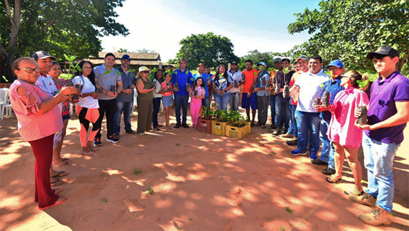 Imagem 1 -  Ao todo, através do Programa Mossoró Rural, estão sendo distribuídos pela Secretaria de Agricultura de Mossoró, em parceria com o SEBRAE e FUNCERN, 40 mil mudas de cajueiros anão precoce a 125 agricultores de 20 comunidades rurais de Mossoró. Para plantar, estes agricultores estão recebendo orientações técnicas de especialistas no ramo da cajucultura. A previsão é que neste primeiro momento, sejam plantados 250 hectares de cajueiro que vão está produzido a partir do terceiro ano. Estes números, segundo o prefeito Allyson Bezerra, permite afirmar que é "a verdadeira independência que a gente tem que dar para a zona rural de Mossoró”, finalizou o prefeito Allyson Bezerra, que acompanhou a entrega na manhã deste sábado na zona rural do município de Mossoró-RN.