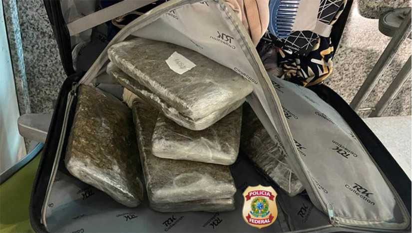 Imagem 1 - Cães da PF detectam drogas em bagagem e amazonense é presa no aeroporto de Natal. A suspeita, uma confeiteira de 33 anos, estava com 3,5 kg de maconha ocultos em uma mala. Ela havia desembarcado de um voo procedente de Manaus/AM, e aguardava para pegar uma outra bagagem na esteira. O cão Iron indicou que o entorpecente estava na bagagem de mão dela. Diante da suspeita, os policiais esperaram que ela pegasse a outra bagagem despachada e, em seguida, foi feita a abordagem. Questionada sobre o que trazia, ela logo confessou e, ao abrir a mala, foram encontrados 7 tabletes de droga, envoltos em plástico. Imagem 1 - Cães da PF detectam drogas em bagagem e amazonense é presa no aeroporto de Natal. A suspeita, uma confeiteira de 33 anos, estava com 3,5 kg de maconha ocultos em uma mala. Ela havia desembarcado de um voo procedente de Manaus/AM, e aguardava para pegar uma outra bagagem na esteira. O cão Iron indicou que o entorpecente estava na bagagem de mão dela. Diante da suspeita, os policiais esperaram que ela pegasse a outra bagagem despachada e, em seguida, foi feita a abordagem. Questionada sobre o que trazia, ela logo confessou e, ao abrir a mala, foram encontrados 7 tabletes de droga, envoltos em plástico.