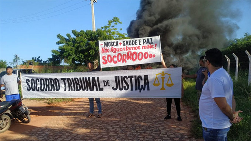 Imagem 1 - Os moradores do bairro Pousada das Termas e comunidades nos arredores, fecharam os acessos das localidades Serra Mossoró e Alagoinhas, no início da manhã deste sábado, 6, em protesto para que a Justiça obrigue a Granja Ave Forte a colocar um químico nas fezes das galinhas e, assim, reduzir o mosqueiro em suas casas. As reclamações neste sentido começaram há cerca de dez anos e, na Justiça, já superou todas as fases, restando somente o cumprimento da sentença. É uma questão grave de saúde pública. Imagem 1 - Os moradores do bairro Pousada das Termas e comunidades nos arredores, fecharam os acessos das localidades Serra Mossoró e Alagoinhas, no início da manhã deste sábado, 6, em protesto para que a Justiça obrigue a Granja Ave Forte a colocar um químico nas fezes das galinhas e, assim, reduzir o mosqueiro em suas casas. As reclamações neste sentido começaram há cerca de dez anos e, na Justiça, já superou todas as fases, restando somente o cumprimento da sentença. É uma questão grave de saúde pública.