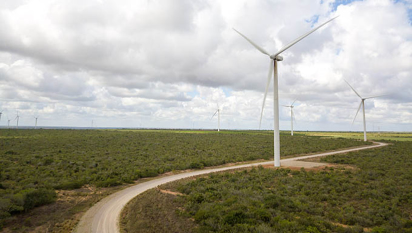 Imagem 1 - O protagonismo do Rio Grande do Norte na produção de energia limpa se deu em função do trabalho feito por Jean Paul Prates, o atual presidente da Petrobrás, há cerca de 20 anos. Nos dias atuais, é o estado com maior número de turbinas eólicas, mais de 2.800 máquinas em operação, representando 30,20% de toda a produção eólica no Brasil (24,6 GW). O Rio Grande do Norte se consolida como o maior produtor de energia eólica na América Latina e perspectiva de ampliar esta geração de energia nos próximos 2 anos. “Até 2025, serão mais de 3 mil turbinas em atividade, gerando mais de 12 GW de potência instalada”, destacou Jaime Calado, titular da Secretaria de Estado do Desenvolvimento Econômico (Sedec), pasta que executa as políticas que tem contribuído para potencializar a capacidade de geração de energias limpas e renováveis do Rio Grande do Norte. Imagem 1 - O protagonismo do Rio Grande do Norte na produção de energia limpa se deu em função do trabalho feito por Jean Paul Prates, o atual presidente da Petrobrás, há cerca de 20 anos. Nos dias atuais, é o estado com maior número de turbinas eólicas, mais de 2.800 máquinas em operação, representando 30,20% de toda a produção eólica no Brasil (24,6 GW). O Rio Grande do Norte se consolida como o maior produtor de energia eólica na América Latina e perspectiva de ampliar esta geração de energia nos próximos 2 anos. “Até 2025, serão mais de 3 mil turbinas em atividade, gerando mais de 12 GW de potência instalada”, destacou Jaime Calado, titular da Secretaria de Estado do Desenvolvimento Econômico (Sedec), pasta que executa as políticas que tem contribuído para potencializar a capacidade de geração de energias limpas e renováveis do Rio Grande do Norte.