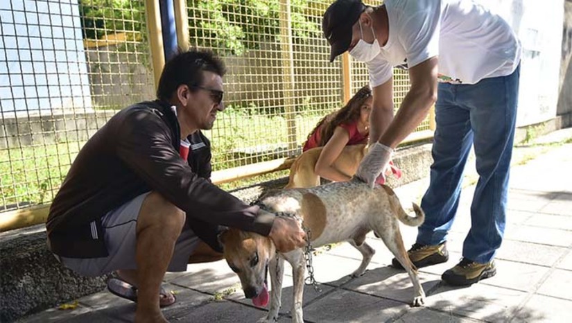 Imagem 1 - Imagem 1 -