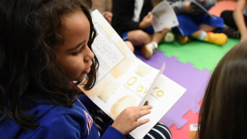 Imagem 1 -  MEC destinou R$ 3,1 bilhões para ações de segurança nas escolas em 2023. As iniciativas englobam infraestrutura, equipamentos, formação e apoio à implantação dos núcleos de apoio psicossocial nas escolas. Entre as medidas tomadas está a criação do Grupo de Trabalho Interministerial (GTI), coordenado pelo MEC, para o desenvolvimento de ações preventivas e imediatas de proteção do ambiente escolar. Além do MEC, fazem parte do GTI a Secretaria Nacional da Juventude da Secretaria-Geral da Presidência da República e os ministérios da Justiça e Segurança Pública, dos Direitos Humanos e da Cidadania, das Comunicações, da Saúde, da Cultura e do Esporte.  
