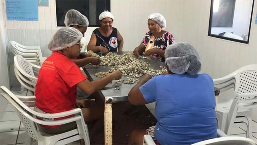 Imagem 1 - O Portal Mossoró Hoje conheceu o trabalho da Associação das Mulheres Pescadoras e Artesãs do Município de Grossos, que desempenham entre outras coisas, a arte da mariscagem em um processo de captura contínua de mariscos de forma artesanal, para seu próprio sustento e comercialização. A atividade é extremamente importante, social e economicamente falando, para o município e contribui diretamente na vida das mulheres, que apesar dos desafios impostos pela prática, dão continuidade e transformam aquilo que vem da natureza, em um fonte de renda para suas famílias, além de manter viva a tradição repassada de geração a geração pelas mulheres das comunidades rurais. Imagem 1 - O Portal Mossoró Hoje conheceu o trabalho da Associação das Mulheres Pescadoras e Artesãs do Município de Grossos, que desempenham entre outras coisas, a arte da mariscagem em um processo de captura contínua de mariscos de forma artesanal, para seu próprio sustento e comercialização. A atividade é extremamente importante, social e economicamente falando, para o município e contribui diretamente na vida das mulheres, que apesar dos desafios impostos pela prática, dão continuidade e transformam aquilo que vem da natureza, em um fonte de renda para suas famílias, além de manter viva a tradição repassada de geração a geração pelas mulheres das comunidades rurais.