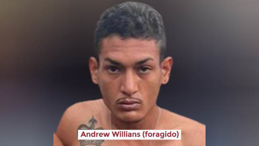 Imagem 1 -  Suspeitos de homicídio em Serrinha dos Pintos são identificados; um deles está foragido. Francisco Emerson Gomes de Oliveira, também conhecido como “Pepe”, foi assassinado em uma churrascaria, no dia 28 de agosto de 2022. A polícia civil identificou Venis Atelvino da Silva, de 35 anos, Andrew Willians Santiago da Silva, conhecido como "Correria", de 25 anos, como autores do crime. A dupla chegou a ser presa 15 dias após o crime, no entanto, Andrew fugiu no mês de maio deste ano, quando rompeu a tornozeleira eletrônica. Já Venis, que também responde por uma tentativa de homicídio, cometida contra o prefeito de João Dias, em 27 de setembro de 2022, segue preso. A Polícia Civil pede que a população envie informações, de forma anônima, por meio do Disque Denúncia 181, para que Andrew seja capturado.