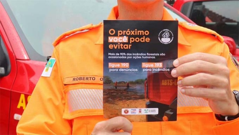 Imagem 1 - Imagem 1 -
