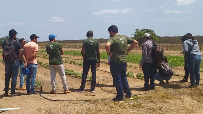 Imagem 1 - Os alunos visitaram empresa agrícola produtora de melancia convencional e orgânica. A aula foi referente ao sistema de irrigação para observar a condução do método de irrigação por gotejamento e verificar na prática a montagem do sistema numa propriedade de médio porte. Imagem 1 - Os alunos visitaram empresa agrícola produtora de melancia convencional e orgânica. A aula foi referente ao sistema de irrigação para observar a condução do método de irrigação por gotejamento e verificar na prática a montagem do sistema numa propriedade de médio porte.