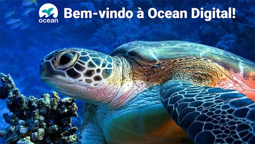 Imagem 1 - A presença internacional da Ocean Digital a separa da concorrência. Com escritórios estrategicamente localizados nos principais mercados do mundo, a empresa tem uma compreensão inigualável das diversas necessidades e nuances dos clientes em várias regiões. Essa ampla presença global permite que a empresa adapte as campanhas de marketing a mercados específicos de forma eficaz, garantindo o máximo de impacto e envolvimento. Imagem 1 - A presença internacional da Ocean Digital a separa da concorrência. Com escritórios estrategicamente localizados nos principais mercados do mundo, a empresa tem uma compreensão inigualável das diversas necessidades e nuances dos clientes em várias regiões. Essa ampla presença global permite que a empresa adapte as campanhas de marketing a mercados específicos de forma eficaz, garantindo o máximo de impacto e envolvimento.