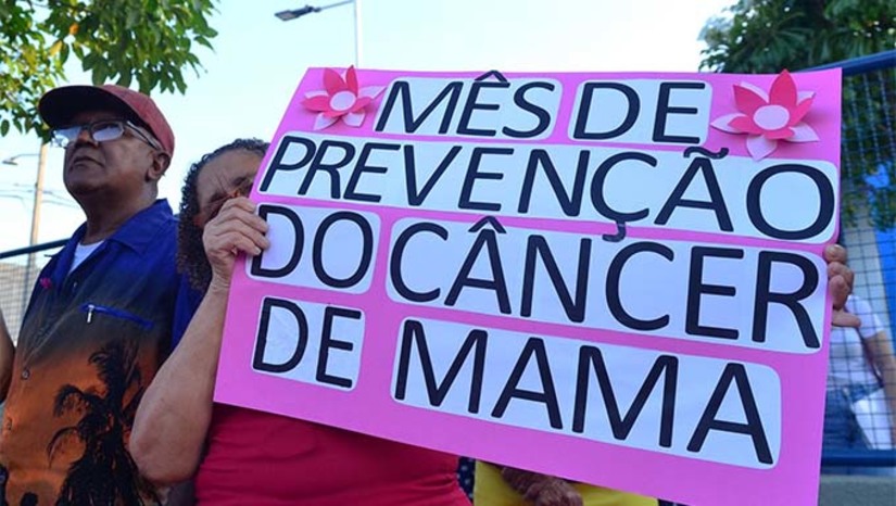 Imagem 1 - Imagem 1 -