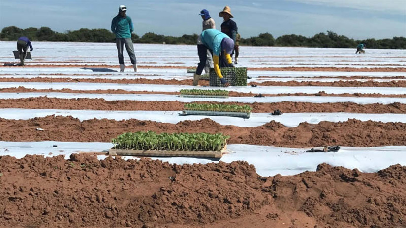 Imagem 1 - Irrigantes e aquicultores do Grupo B de Mossoró e mais 47 municípios devem fazer Revisão Cadastral . Por determinação da Agência Nacional de Energia Elétrica (Aneel), 1.183 consumidores enquadrados nessa categoria de consumo precisam revalidar a documentação até o dia 30 de novembro para não perderem os descontos na conta de energia – que podem chegar a 73%. Os consumidores que não efetuarem o recadastramento podem perder o subsídio a partir de dezembro de 2023. Caso isso aconteça, os clientes podem voltar a receber o desconto ao regularizar a documentação junto à concessionária de energia elétrica. No entanto, não haverá ressarcimento pelo período em que o consumidor permaneceu descadastrado; veja os municípios que estão sendo convocados e a quantidade de beneficiários. Imagem 1 - Irrigantes e aquicultores do Grupo B de Mossoró e mais 47 municípios devem fazer Revisão Cadastral . Por determinação da Agência Nacional de Energia Elétrica (Aneel), 1.183 consumidores enquadrados nessa categoria de consumo precisam revalidar a documentação até o dia 30 de novembro para não perderem os descontos na conta de energia – que podem chegar a 73%. Os consumidores que não efetuarem o recadastramento podem perder o subsídio a partir de dezembro de 2023. Caso isso aconteça, os clientes podem voltar a receber o desconto ao regularizar a documentação junto à concessionária de energia elétrica. No entanto, não haverá ressarcimento pelo período em que o consumidor permaneceu descadastrado; veja os municípios que estão sendo convocados e a quantidade de beneficiários.