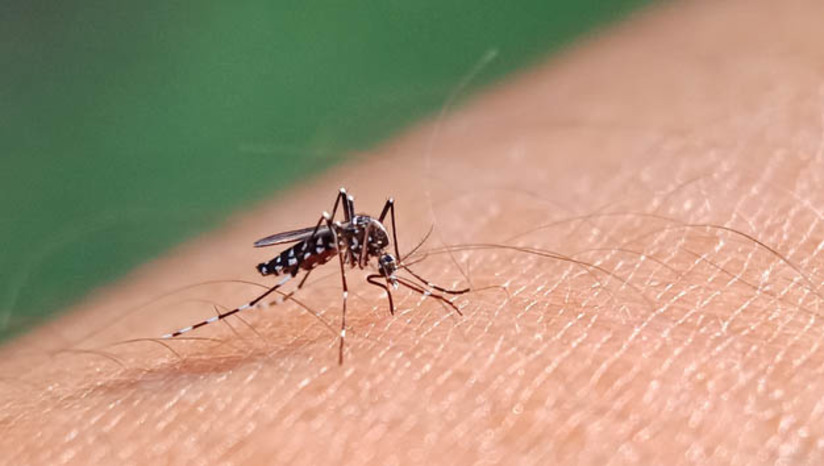 Imagem 1 - MS abre consulta pública sobre proposta de incorporação da vacina contra a dengue no SUS. O imunizante Qdenga está em avaliação pela Comissão Nacional de Incorporações de Tecnologias no Sistema Único de Saúde (Conitec). Em reunião realizada nesta quarta-feira (6), considerando o cenário epidemiológico e a necessidade de incluir mais uma alternativa para enfrentamento à doença, a Comissão recomendou inicialmente a incorporação do imunizante para localidades e públicos prioritários que serão definidos pelo PNI. A consulta ficará aberta pelo prazo de 10 dias, sendo iniciada nesta quinta-feira (7). Imagem 1 - MS abre consulta pública sobre proposta de incorporação da vacina contra a dengue no SUS. O imunizante Qdenga está em avaliação pela Comissão Nacional de Incorporações de Tecnologias no Sistema Único de Saúde (Conitec). Em reunião realizada nesta quarta-feira (6), considerando o cenário epidemiológico e a necessidade de incluir mais uma alternativa para enfrentamento à doença, a Comissão recomendou inicialmente a incorporação do imunizante para localidades e públicos prioritários que serão definidos pelo PNI. A consulta ficará aberta pelo prazo de 10 dias, sendo iniciada nesta quinta-feira (7).