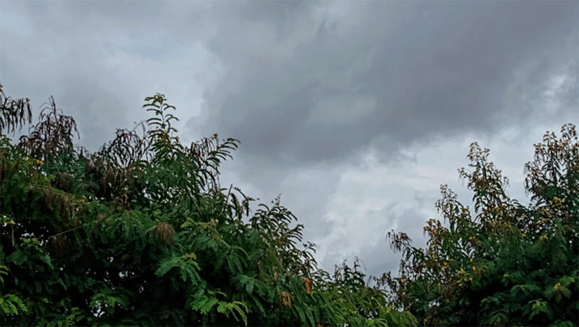 Imagem 1 - Mossoró registra 30,7 mm chuva em 24h; precipitações devem se estender até o natal. As maiores precipitações foram registradas no período da manhã desta terça-feira (19). Professor de Ciências Naturais, Alciomar Lopes explica que o fenômeno chamado Vórtice Ciclone de Alta e a Zona de Convergência Intertropical (ZCIT) está provocando as recentes precipitações no Rio Grande do Norte, com maior incidência na regiões oeste central do estado. O professor também informou que muitas comunidades rurais de Mossoró registraram chuvas nas últimas 48 horas, principalmente Maísa, Jucuri, São João da Várzea, Lorena e Chafariz. Imagem 1 - Mossoró registra 30,7 mm chuva em 24h; precipitações devem se estender até o natal. As maiores precipitações foram registradas no período da manhã desta terça-feira (19). Professor de Ciências Naturais, Alciomar Lopes explica que o fenômeno chamado Vórtice Ciclone de Alta e a Zona de Convergência Intertropical (ZCIT) está provocando as recentes precipitações no Rio Grande do Norte, com maior incidência na regiões oeste central do estado. O professor também informou que muitas comunidades rurais de Mossoró registraram chuvas nas últimas 48 horas, principalmente Maísa, Jucuri, São João da Várzea, Lorena e Chafariz.