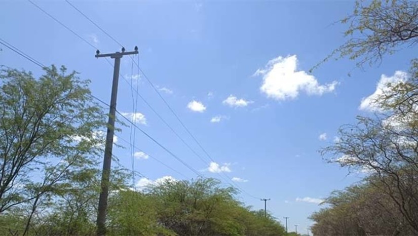 Imagem 1 - Segundo a Neoenergia Cosern, foram furtados 800 metros de cabos da rede de média tensão, afetando 178 unidades consumidoras. A empresa informou que acionou a polícia e que está trabalhando para restabelecer o serviço o mais rápido possível. O furto de fios causou transtornos para os moradores e para as empresas de sal que operam na região. Algumas delas tiveram que interromper a produção e dispensar os funcionários. Esta é a segunda vez em menos de um mês que o mesmo crime acontece na localidade. Imagem 1 - Segundo a Neoenergia Cosern, foram furtados 800 metros de cabos da rede de média tensão, afetando 178 unidades consumidoras. A empresa informou que acionou a polícia e que está trabalhando para restabelecer o serviço o mais rápido possível. O furto de fios causou transtornos para os moradores e para as empresas de sal que operam na região. Algumas delas tiveram que interromper a produção e dispensar os funcionários. Esta é a segunda vez em menos de um mês que o mesmo crime acontece na localidade.