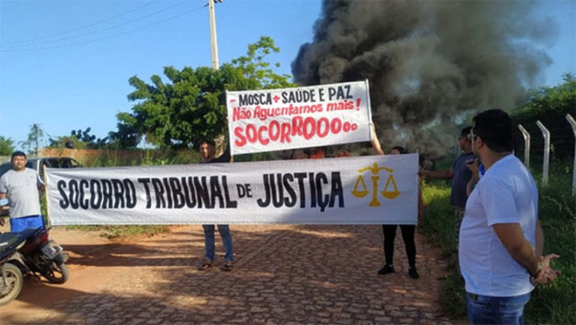 Imagem 1 - Decisão tomada pelo juízo de primeira instância havia determinado, em 2020, que a Granja Ave Forte saísse da área urbana de Mossoró num prazo de 3 anos e, passado este tempo, aplicou multas. A defesa da Granja Ave Forte, patrocinada pelo advogado Daniel Victor, mostrou aos desembargadores que a decisão havia sido tomada apenas com provas produzidas pelo MPRN e não pela Justiça e os desembargadores anularam a sentença de primeira instância. No caso, a Justiça deve determinar que seja feita uma perícia completa e novamente julgue o caso. Imagem 1 - Decisão tomada pelo juízo de primeira instância havia determinado, em 2020, que a Granja Ave Forte saísse da área urbana de Mossoró num prazo de 3 anos e, passado este tempo, aplicou multas. A defesa da Granja Ave Forte, patrocinada pelo advogado Daniel Victor, mostrou aos desembargadores que a decisão havia sido tomada apenas com provas produzidas pelo MPRN e não pela Justiça e os desembargadores anularam a sentença de primeira instância. No caso, a Justiça deve determinar que seja feita uma perícia completa e novamente julgue o caso.