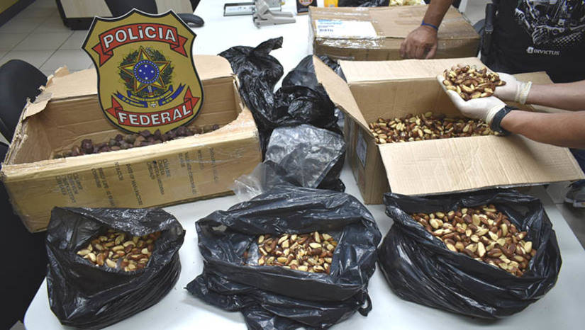 Imagem 1 - Casal é preso ao receber encomenda com 5,66 kg de crack nos Correios de Parnamirim. A prisão aconteceu nesta quarta-feira (31). A drogra estava misturada em uma carga de castanhas. A ação aconteceu quando os policiais se dirigiram à agência dos Correios no centro de Parnamirim para investigar uma possível remessa de drogas através do serviço postal para um destinatário local. Após manter vigilância, a equipe agiu no momento em que o casal, um homem e uma mulher de 27 e 28 anos, retirava a encomenda. Imagem 1 - Casal é preso ao receber encomenda com 5,66 kg de crack nos Correios de Parnamirim. A prisão aconteceu nesta quarta-feira (31). A drogra estava misturada em uma carga de castanhas. A ação aconteceu quando os policiais se dirigiram à agência dos Correios no centro de Parnamirim para investigar uma possível remessa de drogas através do serviço postal para um destinatário local. Após manter vigilância, a equipe agiu no momento em que o casal, um homem e uma mulher de 27 e 28 anos, retirava a encomenda.