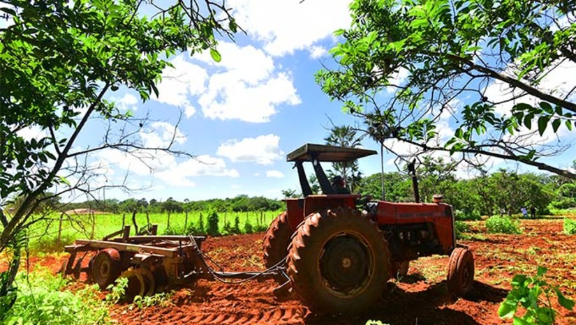 Imagem 1 - O Programa Semear incentiva o pequeno agricultor familiar através do fornecimento gratuito de óleo diesel para o corte de terra na zona rural. Cada agricultor recebe uma quantidade de óleo definida pela Seadru. O lançamento do programa de corte de terra será realizado no Parque de Exposições Armando Buá, às 9 horas desta quarta- feira (21). Imagem 1 - O Programa Semear incentiva o pequeno agricultor familiar através do fornecimento gratuito de óleo diesel para o corte de terra na zona rural. Cada agricultor recebe uma quantidade de óleo definida pela Seadru. O lançamento do programa de corte de terra será realizado no Parque de Exposições Armando Buá, às 9 horas desta quarta- feira (21).