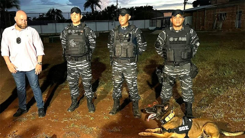 Imagem 1 - Fúria: cão farejador do Mato Grosso chega hoje (6) em Mossoró para ajudar na busca por fugitivos. O cão farejador da raça pastor-belga-malinois pertence à polícia penal do Mato Grosso. Dois policiais penais, juntamente com o animal, desembarcaram em Natal, por volta do meio-dia desta quarta-feira (6). Em seguida, seguiram viagem para o município de Mossoró. Os agentes são especializados em operações especiais e serão mais um reforço na caçada por Deibson Cabral Nascimento, de 33 anos, e Rogério da Silva Mendonça, de 35 anos, foragidos da penitenciária federal de Mossoró desde o dia 14 de fevereiro de 2014. Imagem 1 - Fúria: cão farejador do Mato Grosso chega hoje (6) em Mossoró para ajudar na busca por fugitivos. O cão farejador da raça pastor-belga-malinois pertence à polícia penal do Mato Grosso. Dois policiais penais, juntamente com o animal, desembarcaram em Natal, por volta do meio-dia desta quarta-feira (6). Em seguida, seguiram viagem para o município de Mossoró. Os agentes são especializados em operações especiais e serão mais um reforço na caçada por Deibson Cabral Nascimento, de 33 anos, e Rogério da Silva Mendonça, de 35 anos, foragidos da penitenciária federal de Mossoró desde o dia 14 de fevereiro de 2014.
