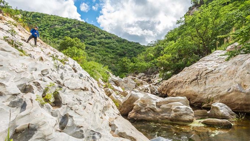 Imagem 1 - A iniciativa favorece interiorização e visitação ao Lajedo Soledade em Apodi (ravinas da Dodora e das Araras), três cavernas no município de Felipe Guerra (Crotes, Catedral e Carrapateira), e a Trilha Tapuias, em Sítio Novo. Os projetos visam facilitar e tornar mais confortáveis os acessos e trilhas, reduzindo o risco de acidentes e o desconforto causado pela irregularidade das pedras nas descidas e subidas. As intervenções foram projetadas para atender às demandas de custo com menor impacto ambiental e visual e utilização de materiais abundantes na região. O valor total é de R$ 4.553.058,99 Imagem 1 - A iniciativa favorece interiorização e visitação ao Lajedo Soledade em Apodi (ravinas da Dodora e das Araras), três cavernas no município de Felipe Guerra (Crotes, Catedral e Carrapateira), e a Trilha Tapuias, em Sítio Novo. Os projetos visam facilitar e tornar mais confortáveis os acessos e trilhas, reduzindo o risco de acidentes e o desconforto causado pela irregularidade das pedras nas descidas e subidas. As intervenções foram projetadas para atender às demandas de custo com menor impacto ambiental e visual e utilização de materiais abundantes na região. O valor total é de R$ 4.553.058,99